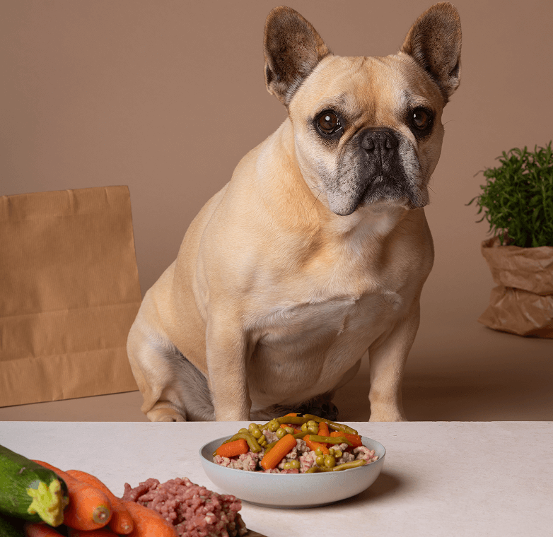 Рекомендації щодо годування